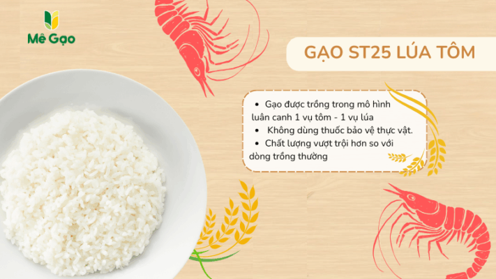 Gạo ST25 lúa tôm