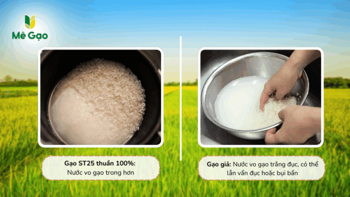 Phân biệt qua khâu vo/ngâm gạo