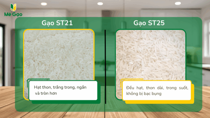Hình Dáng Hạt Gạo ST21 và ST25