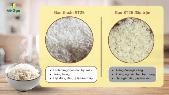 Quan sát hình dáng và màu sắc hạt gạo ST25
