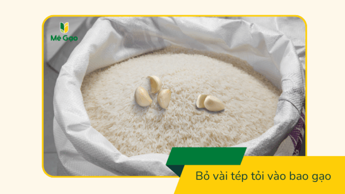 Sử dụng tỏi để bảo quản gạo