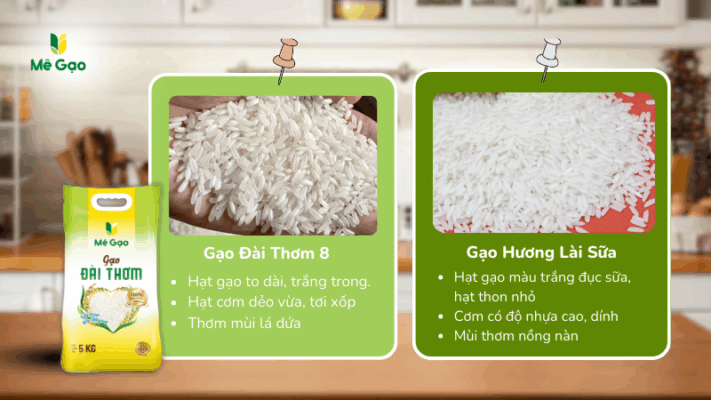 So sánh đặc tính gạo Đài Thơm và gạo Hương Lài Sữa