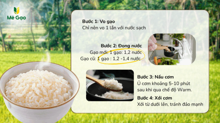 Lưu ý khi nấu Gạo Thơm Lài cũ và Gạo Thơm Lài mới để cơm thơm ngon, tơi xốp