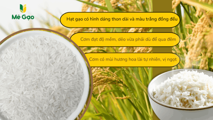 Đặc điểm hạt gạo Thơm Lài