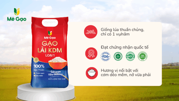 Đặc điểm nổi bật gạo Lài KDM của Mê Gạo
