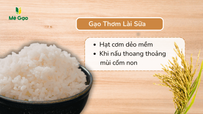 Hương thơm gạo thơm lài sữa