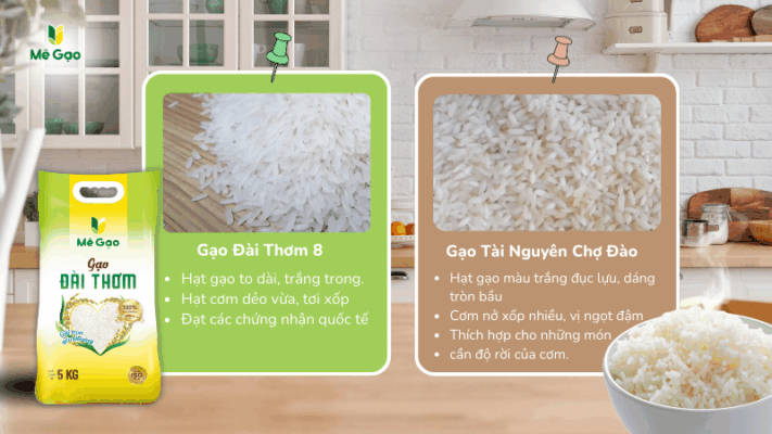 So sánh đặc tính gạo Đài Thơm và gạo Tài Nguyên