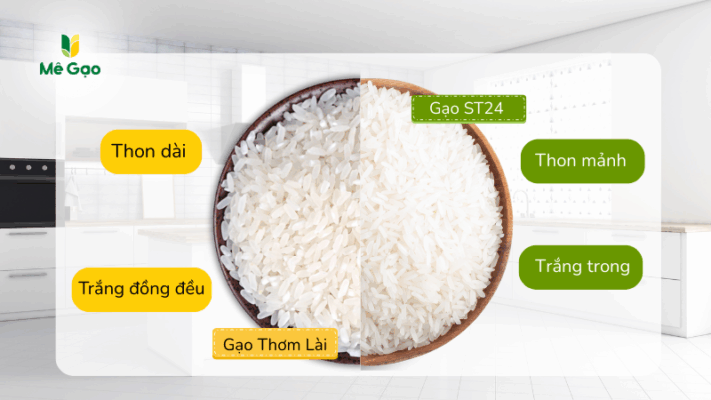 So sánh hạt gọa thơm lài và gạo ST24