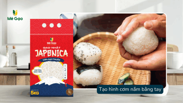 Cách tạo hình cơm năm Origini