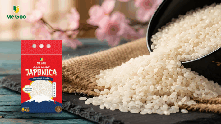 Đặc điểm gạo Japonica chi tiết