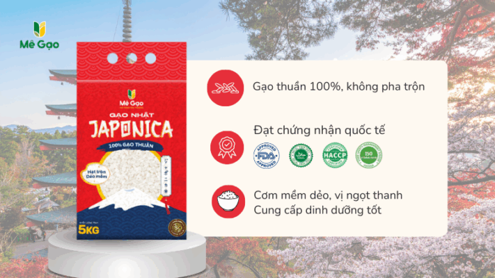 Đặc điểm nổi bật gạo Japonica của Mê Gạo