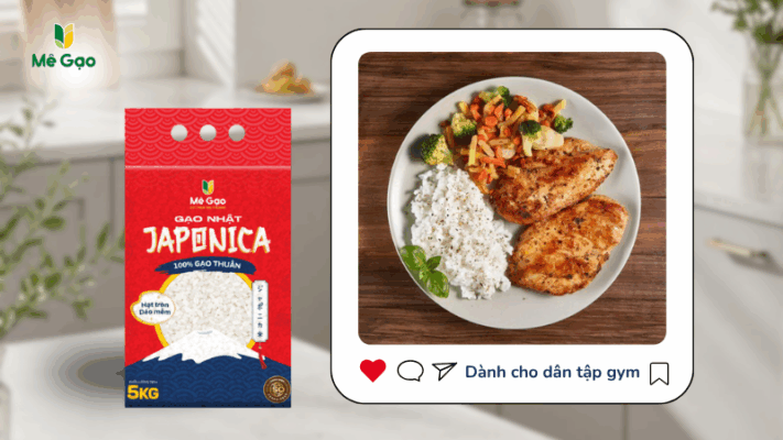 Gạo Japoinca cho dân tập gym