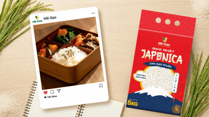 Gạo Nhật Japonica làm cơm hộp bento