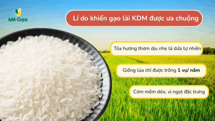 Li do khiến gạo Lài KDM được ưa chuộng