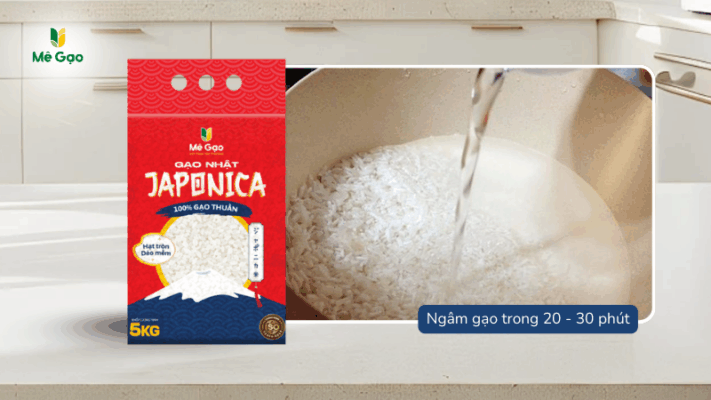Lưu ý để nấu cơm bằng gạo Japonica