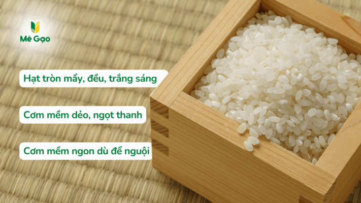 Mô tả hạt gạo Japonica