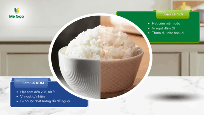 So sánh cơm lài KDM và cơm lài sữa
