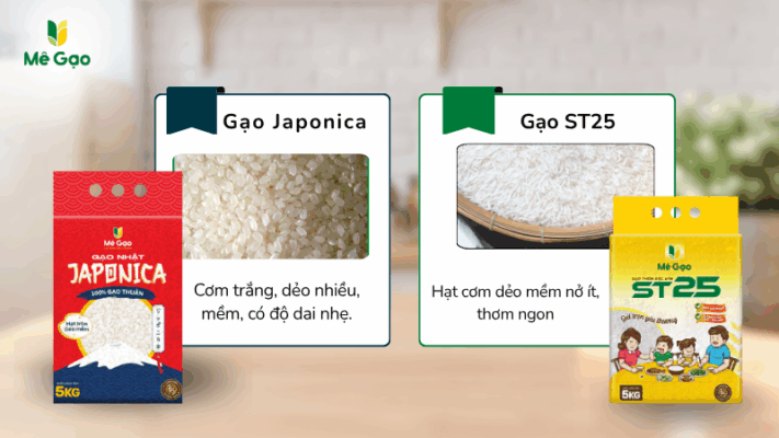 So sánh gạo Japonica và gạo ST25
