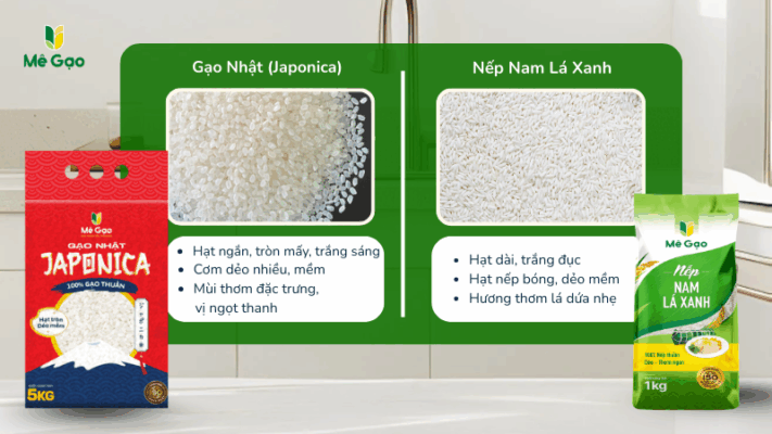 So sánh gạo Japonica và nếp nam lá xanh