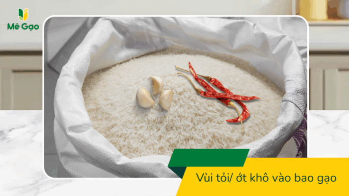 Vùi tỏi ớt khô vào bao gạo Lài KDM