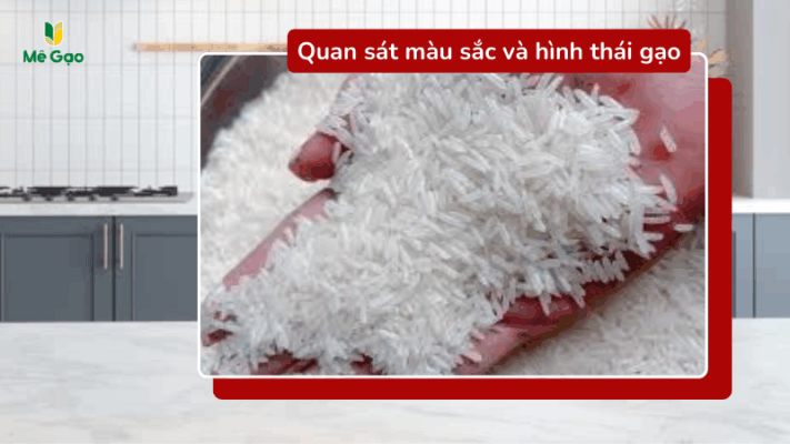 Cách quan sát hạt gạo để tránh gạo tẩm hưởng liệu