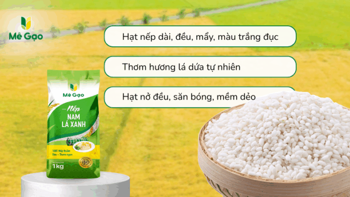 Đặc điểm cảm quan: Nhận biết Nếp Nam Lá Xanh chuẩn