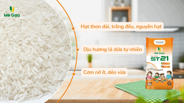 Gạo St21 cứu trợ
