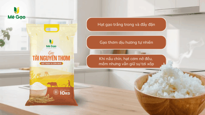 Gạo Tài Nguyên cho trường học vùng cao
