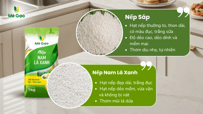 So sánh đặc điểm của Nếp Nam Lá Xanh và Nếp Sáp