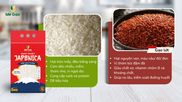 So sánh đặc tính gạo Japonica và gạo lứt