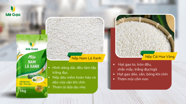 So sánh đặc tính gạo Nếp Nam Lá Xanh và Nếp Cái Hoa Vàng