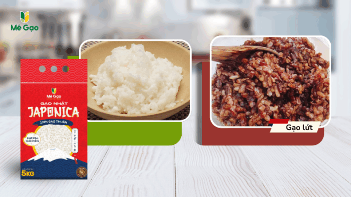 So sánh hạt cơm gạo Japonica và gạo lứt