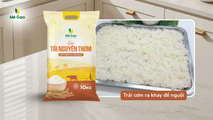 Trải cơm gạo Tài Nguyên ra khay để làm cơm chiên